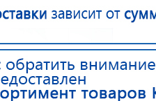 ЧЭНС-01-Скэнар купить в Бору, Аппараты Скэнар купить в Бору, Медицинская техника - denasosteo.ru
